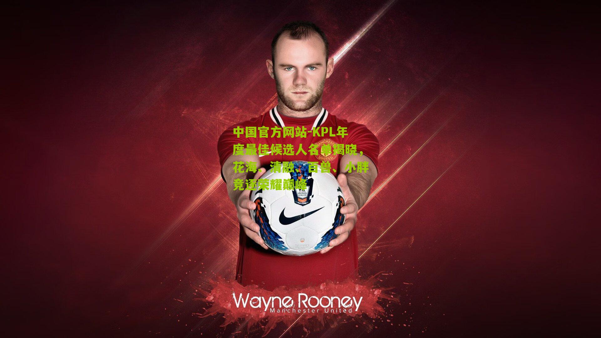 KPL年度最佳候选人名单揭晓，花海、清融、百兽、小胖竞逐荣耀巅峰