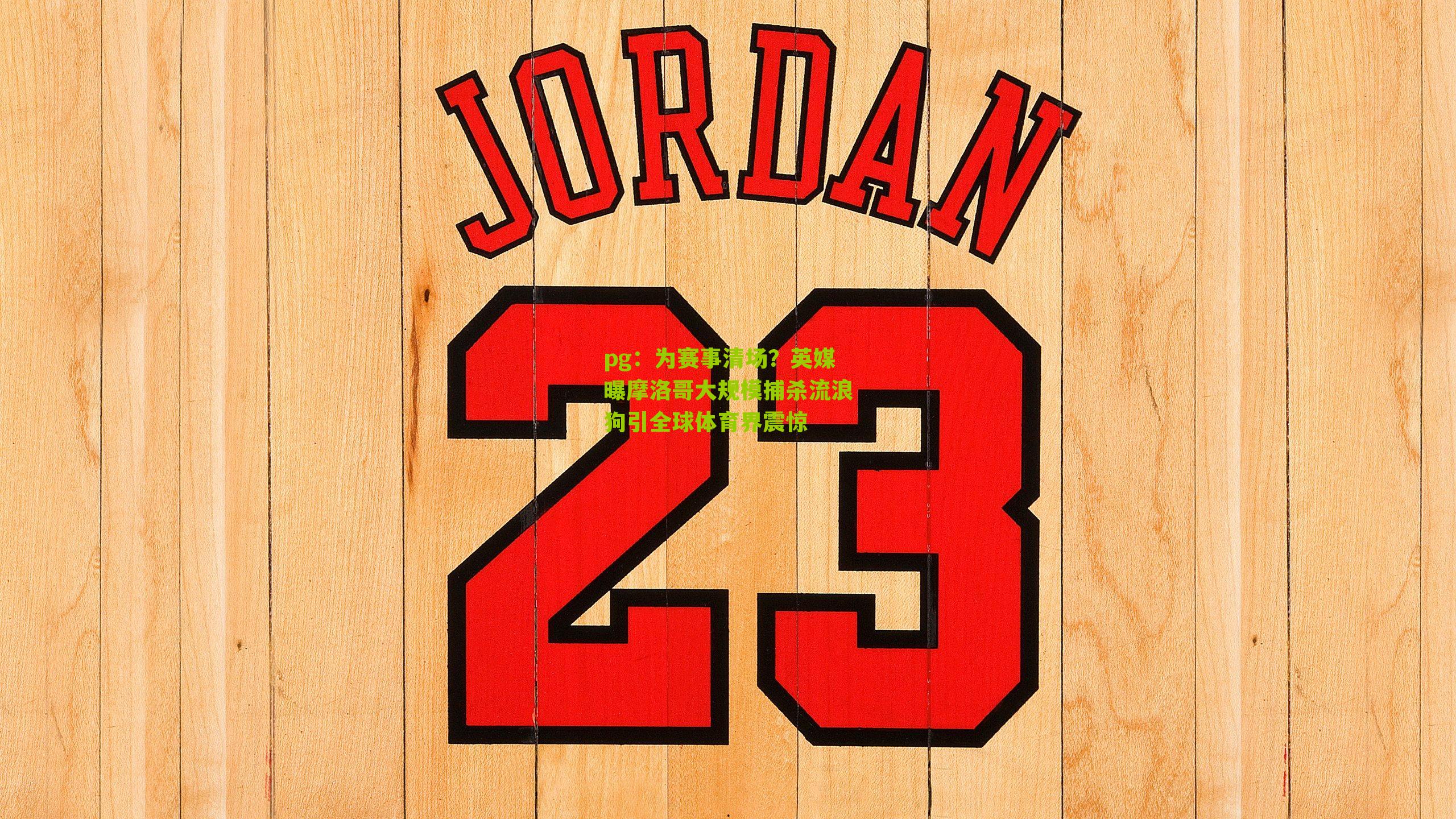 为赛事清场？英媒曝摩洛哥大规模捕杀流浪狗引全球体育界震惊